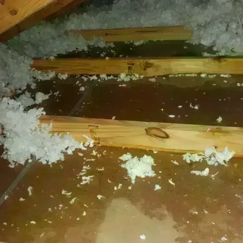 Attic Water Damage in Hilton, NY