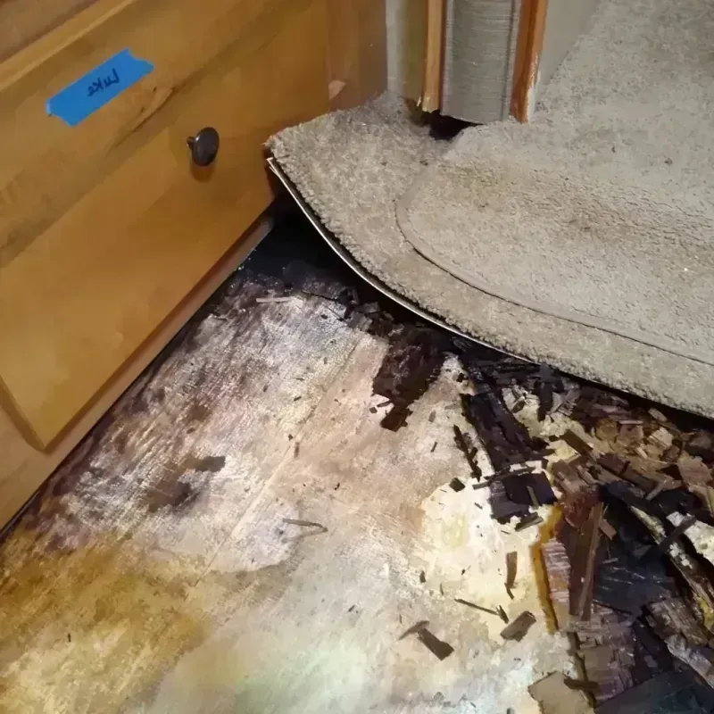 Best Wood Floor Water Damage Service in Hilton, NY